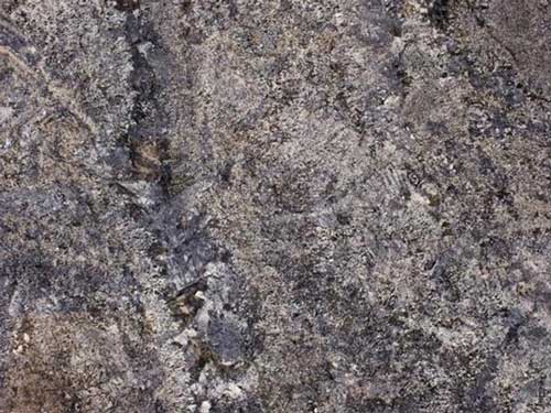 slab_granite_blue_flower_ice