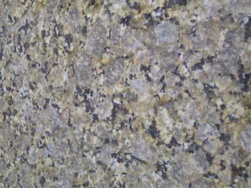 slab_granite_golden_butterfly