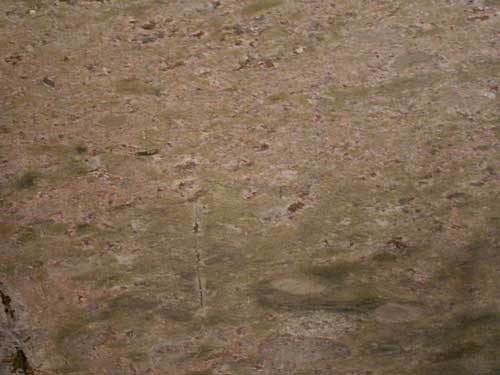 slab_granite_verde_meadow