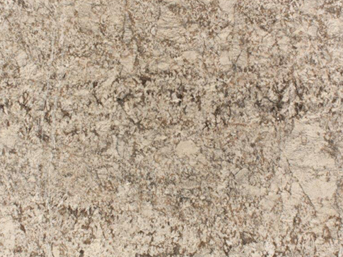 slab_granite_bianco_antico